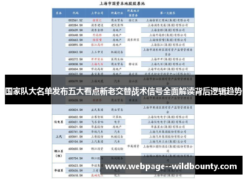 国家队大名单发布五大看点新老交替战术信号全面解读背后逻辑趋势