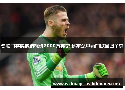 曼联门将奥纳纳标价8000万英镑 多家意甲豪门欲回归争夺