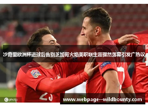 沙奇里欧洲杯进球后告别芝加哥火焰美职联生涯骤然落幕引发广热议