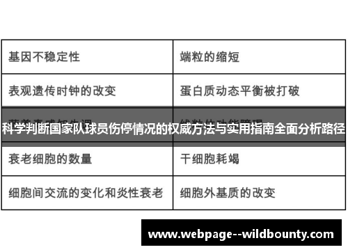 科学判断国家队球员伤停情况的权威方法与实用指南全面分析路径 科学判断国家队球员伤停情况的权威方法与实用指南全面分析路径