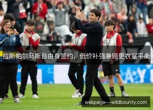 拉斯帕尔马斯自由身签约,低价补强兼顾更衣室平衡 拉斯帕尔马斯自由身签约,低价补强兼顾更衣室平衡