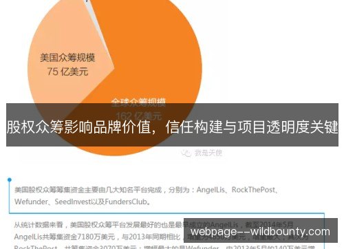 股权众筹影响品牌价值，信任构建与项目透明度关键